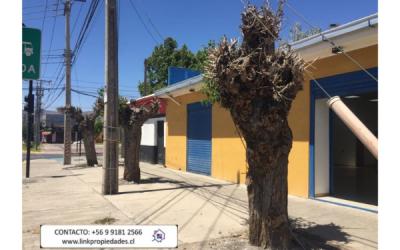 SAN FELIPE, PROPIEDAD COMERCIAL EN ARRIENDO; VALOR ARRIENDO: $1.300.000